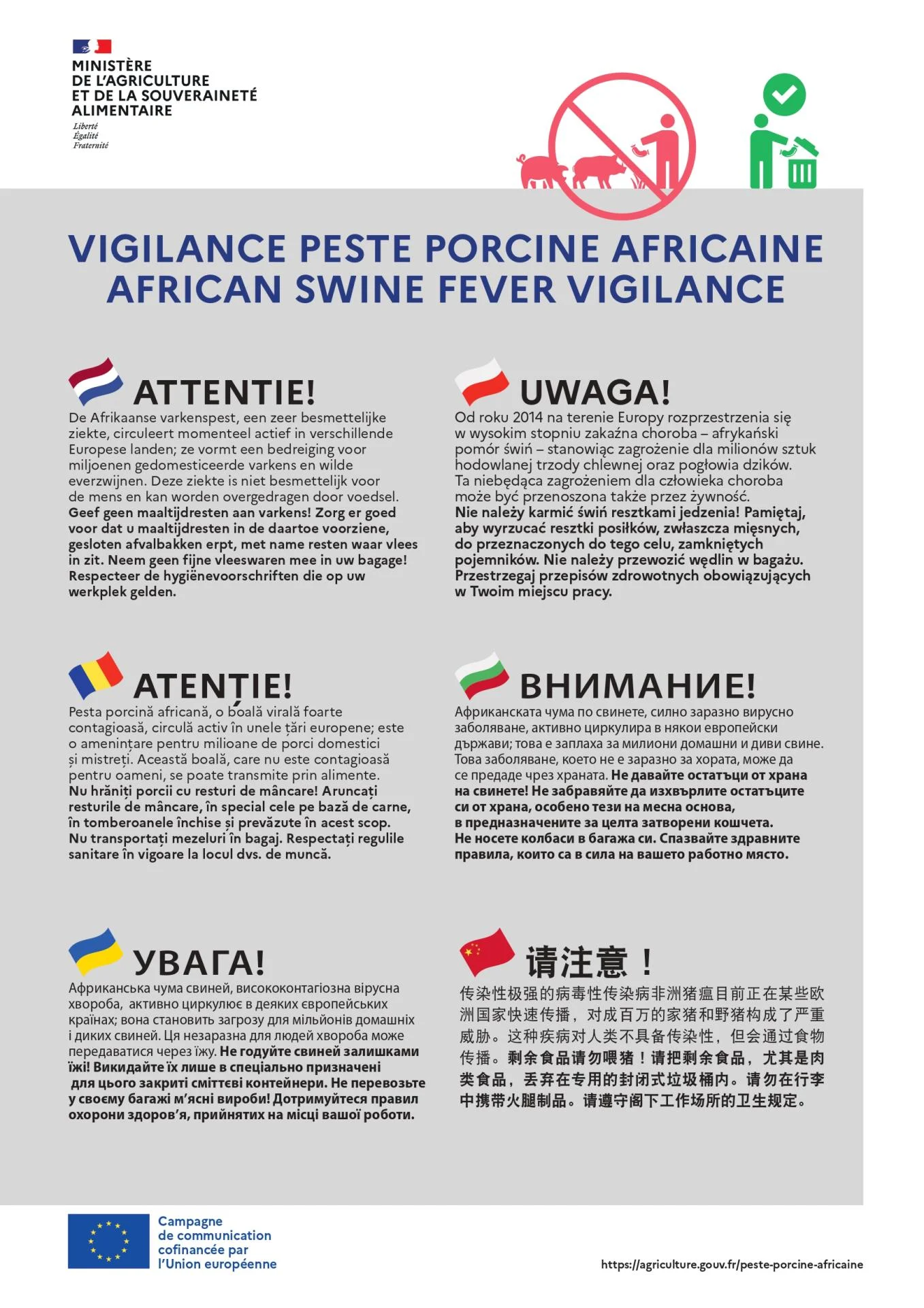 Affiche vigilance ppa en 12 langues page 0002