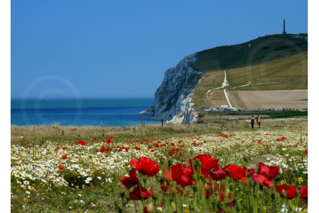 Cap blanc nez